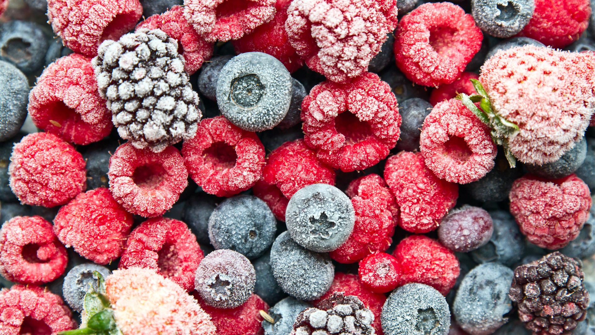 Case Study Images Aussie Frozen Fruit